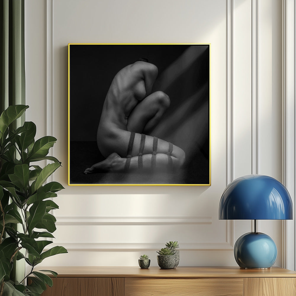 Förbehåll för villkor | Poster