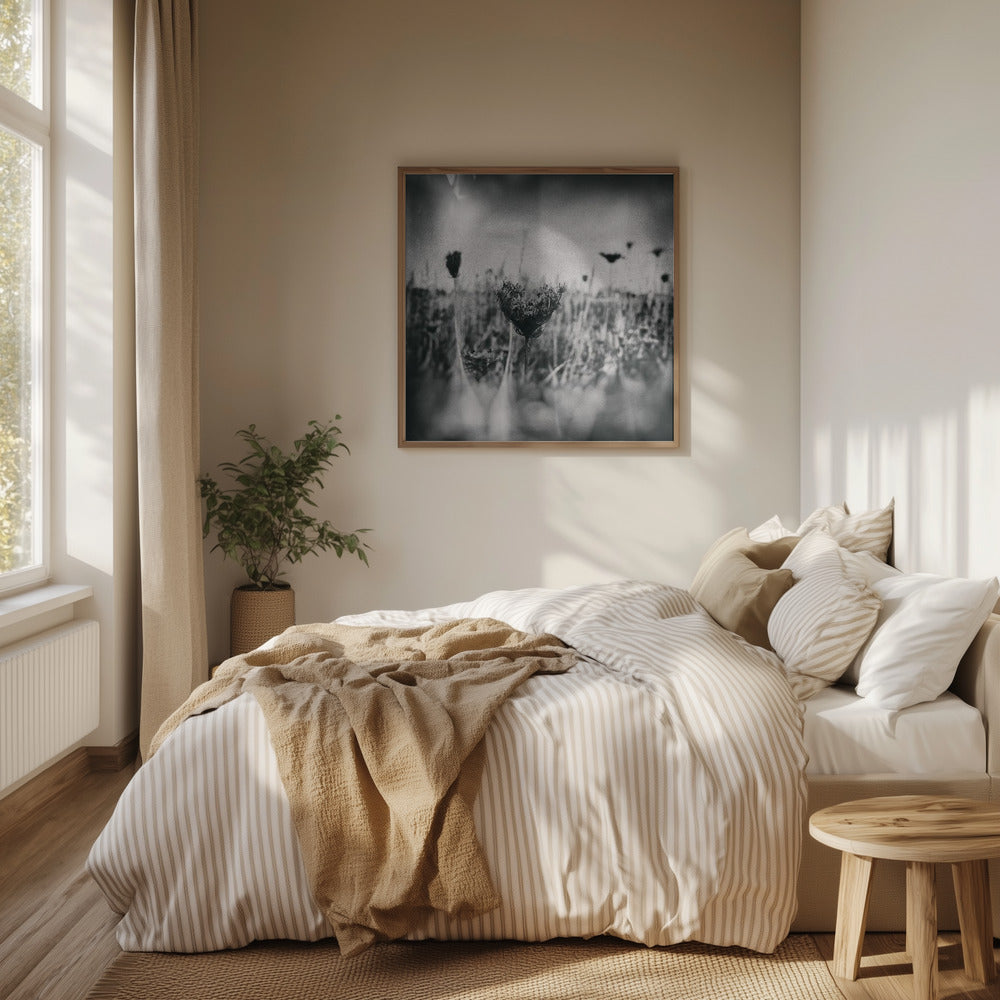 Wet Plate Photography Nature 4 | Poster