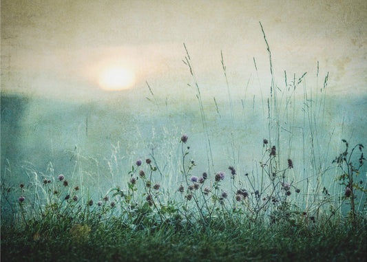 Herbstsonnenaufgang | Fototapeten