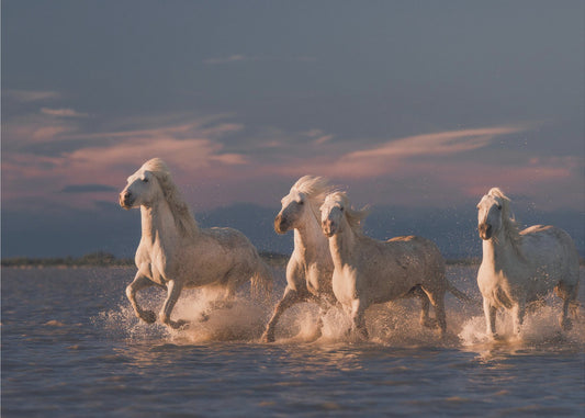 Engelen van de Camargue | Fotobehang