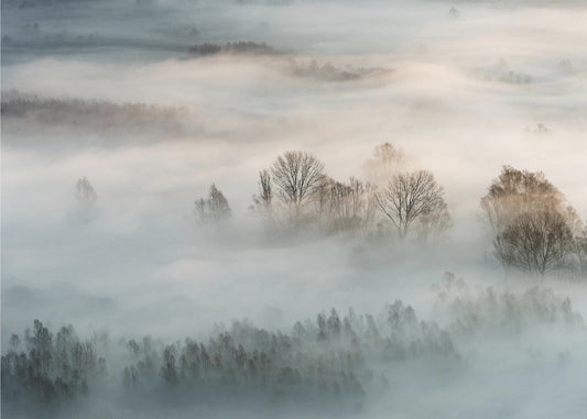 Winternebel | Fototapeten