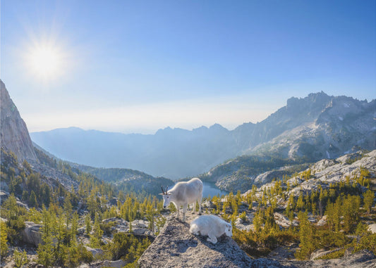 Zauberhaft: Prusikpass-Panorama | Fototapeten