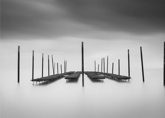 L'Oyster Bar | Carta da Parati Fotografica