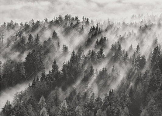 Sundance n. 1 | Carta da Parati Fotografica