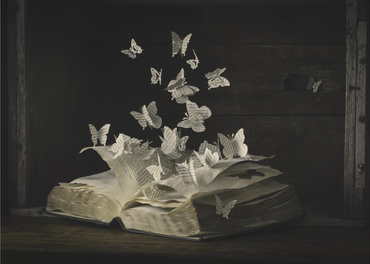 Lepidopterologia | Valokuvatapetit