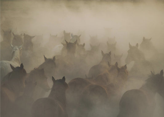 in dust | Poster