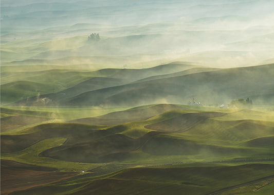 Golden Morning-Palouse | Wallpaper