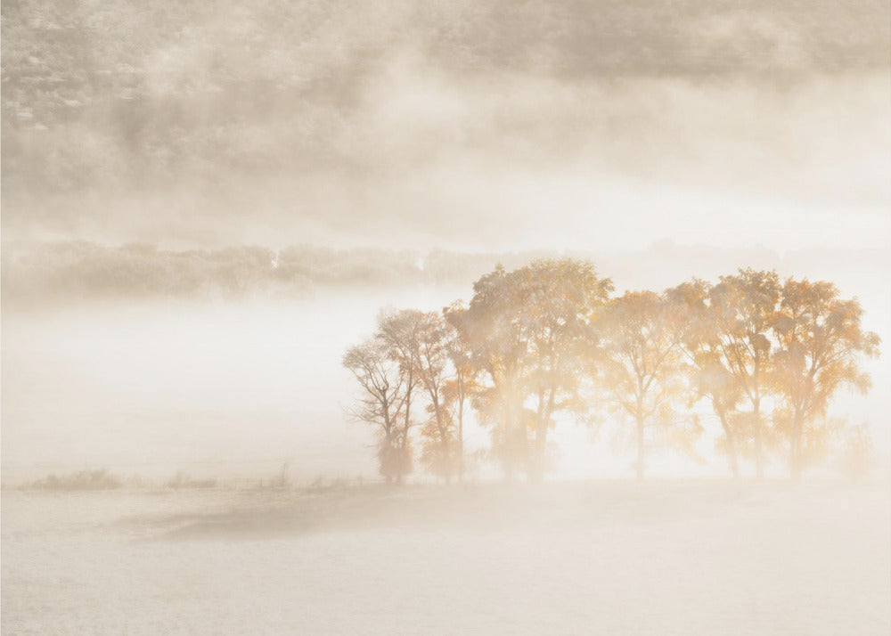 Rêves d'automne | Papier Peint Photo