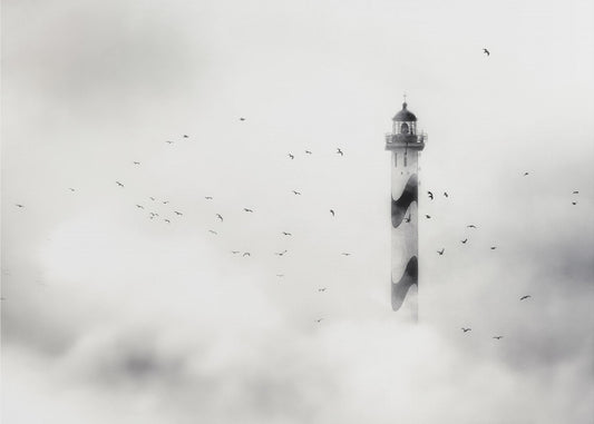 la nebbia | Carta da Parati Fotografica