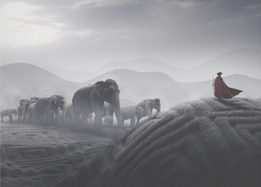 Robin des Bois | Toile