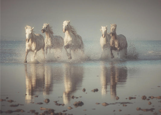 Camargue-paarden | Fotobehang