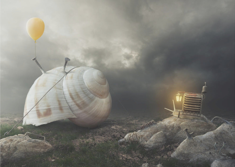 Retour à l'accueil | Canvas