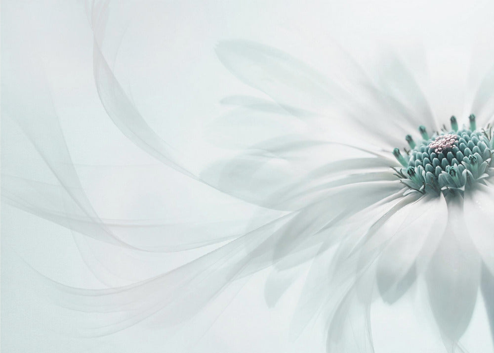 Purity | Canvas