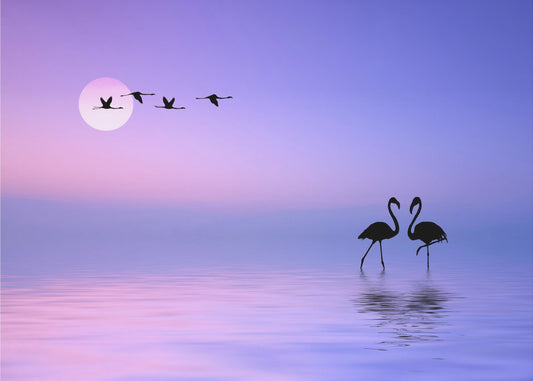 Flygande Flamingo | Fototapet