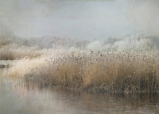 Wintermorgen | Fototapeten