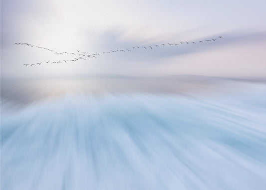 flyga över | Fototapet