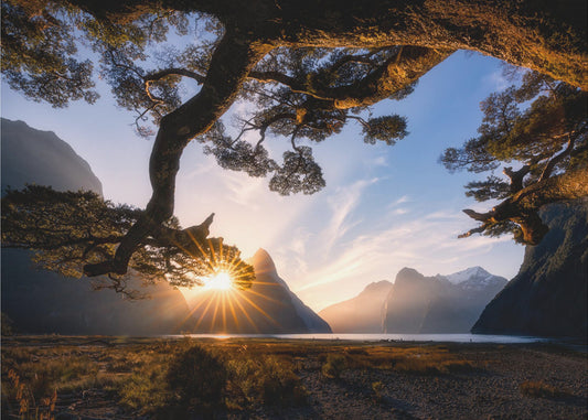 Sonniger Tag im Milford Sound | Fototapeten