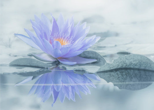 Reflexion | Fototapeten