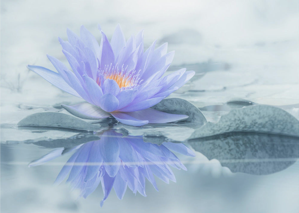 Reflexion | Fototapeten
