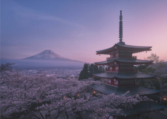 Berg Fuji Sakura | Fototapeten