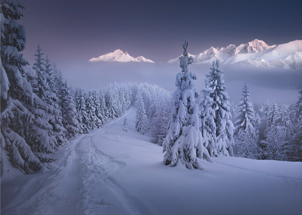 In inverno | Carta da Parati Fotografica