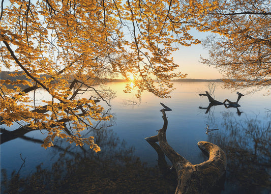 Mañana de otoño | Papel Pintado Fotográfico