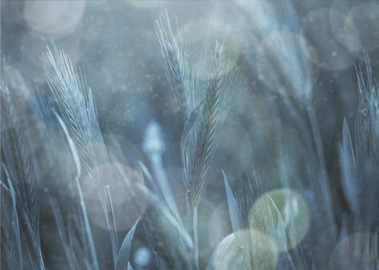 Fantastyczna Natura | Fototapeta