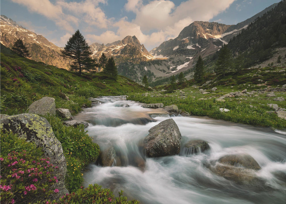 Park Alp Nadmorskich | Fototapeta