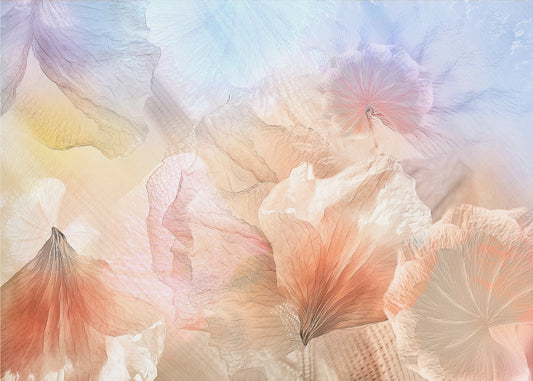 Ätherische Blumen | Fototapeten