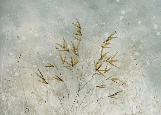 Winterzeit | Fototapeten