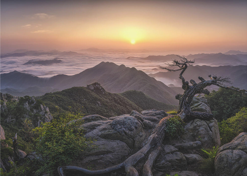 Amanecer en la cima | Papel Pintado Fotográfico
