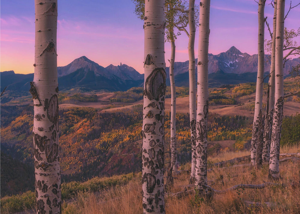 Cadres Aspen | Papier Peint Photo