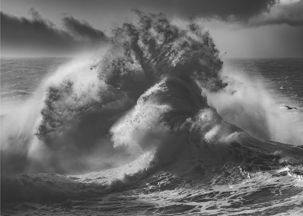 POSEIDON MAJESTY (Teil 4) | Fototapeten