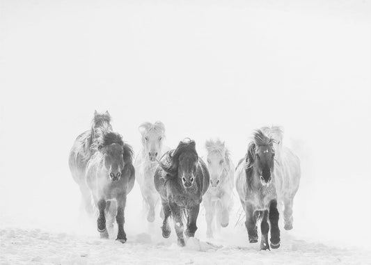 Hardlopen in de sneeuw | Fotobehang