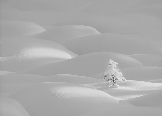 Seul | Papier Peint Photo