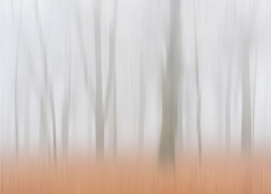 Misty Autumnimpression | Canvas