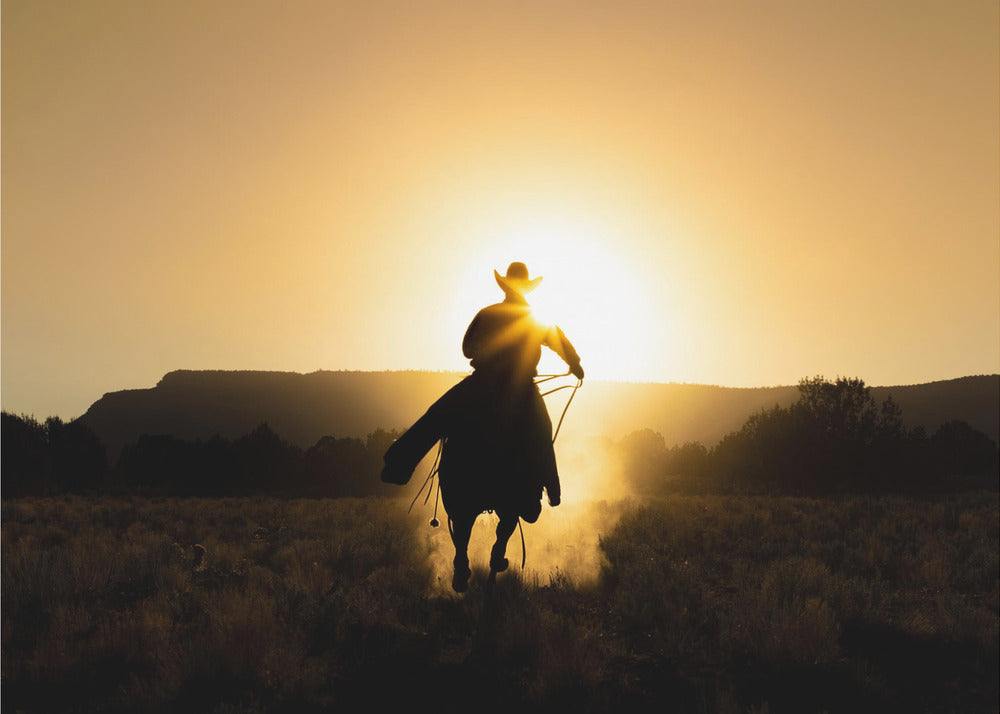 Der Cowboy | Leinwand-Bilder