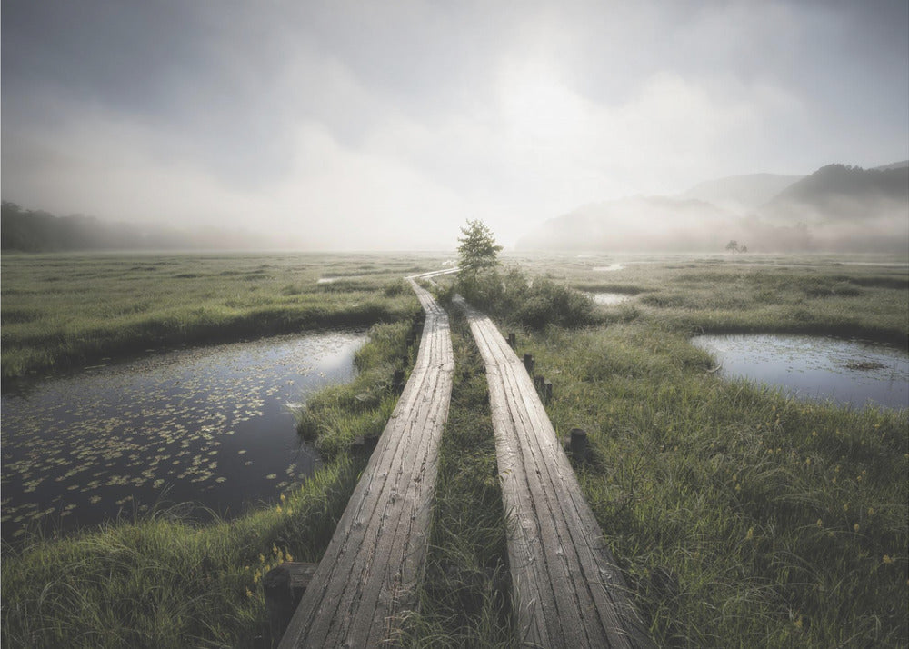 Dans le monde brumeux | Papier Peint Photo
