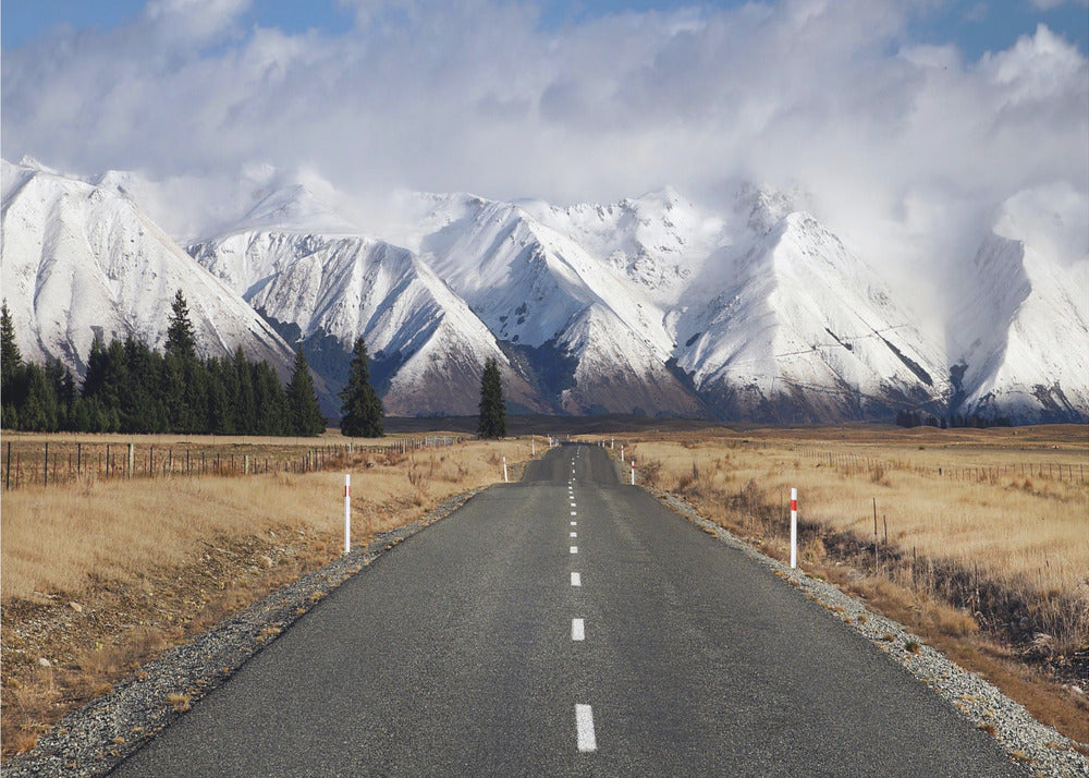 Camino del lago Ohau | Papel Pintado Fotográfico