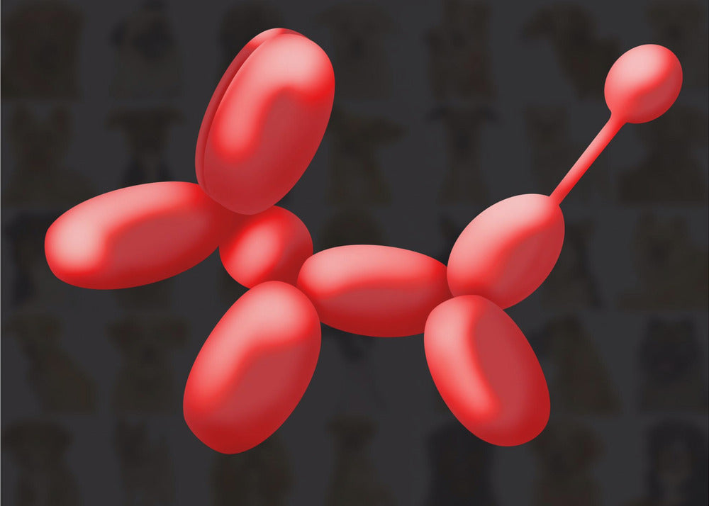 Ballonhund | Lærredsbilleder
