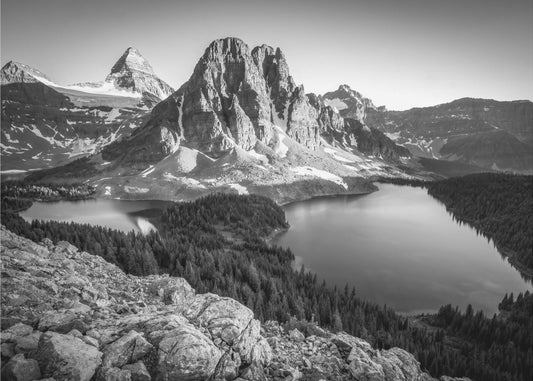 assiniboine | Canvasprints
