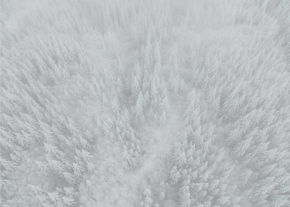 Blanchiment | Papier Peint Photo