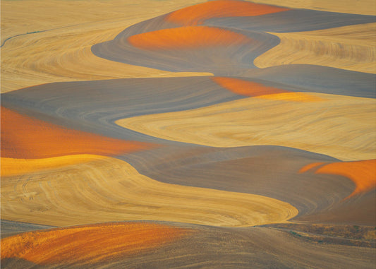 Malt land | Lerretsbilder