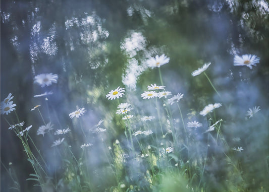 Un souffle de bleu | Papier Peint Photo