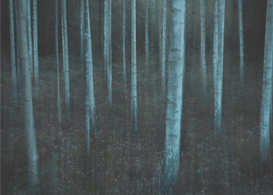 ICM v3 | Lerretsbilder