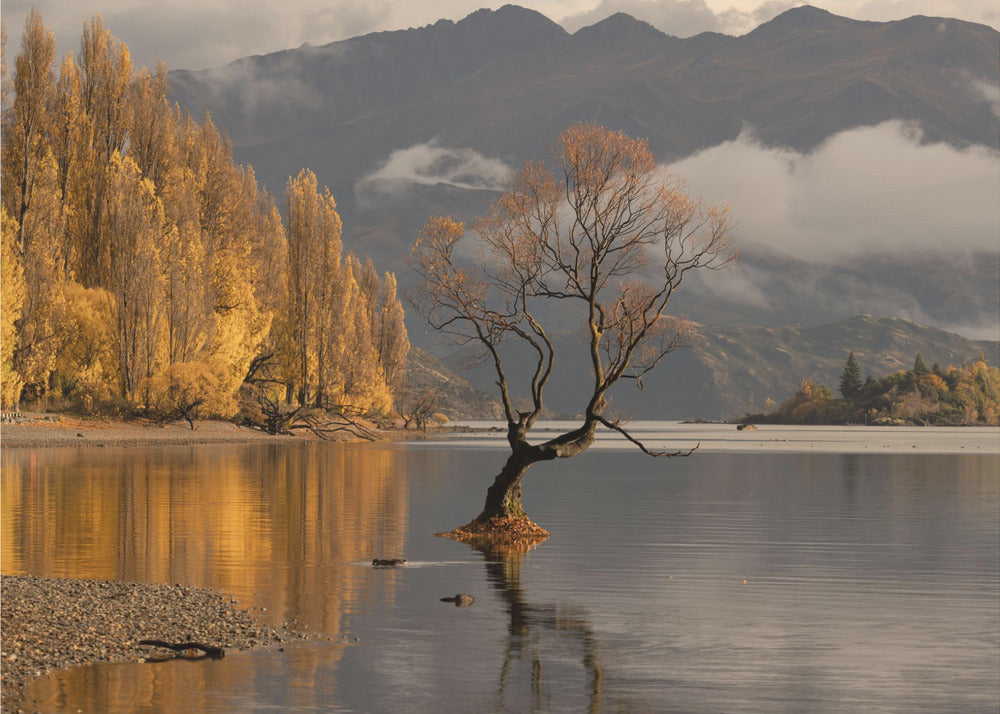 Otoño en Wanaka | Papel Pintado Fotográfico