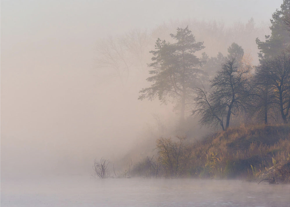 Dimmig höstmorgon vid floden | Canvas