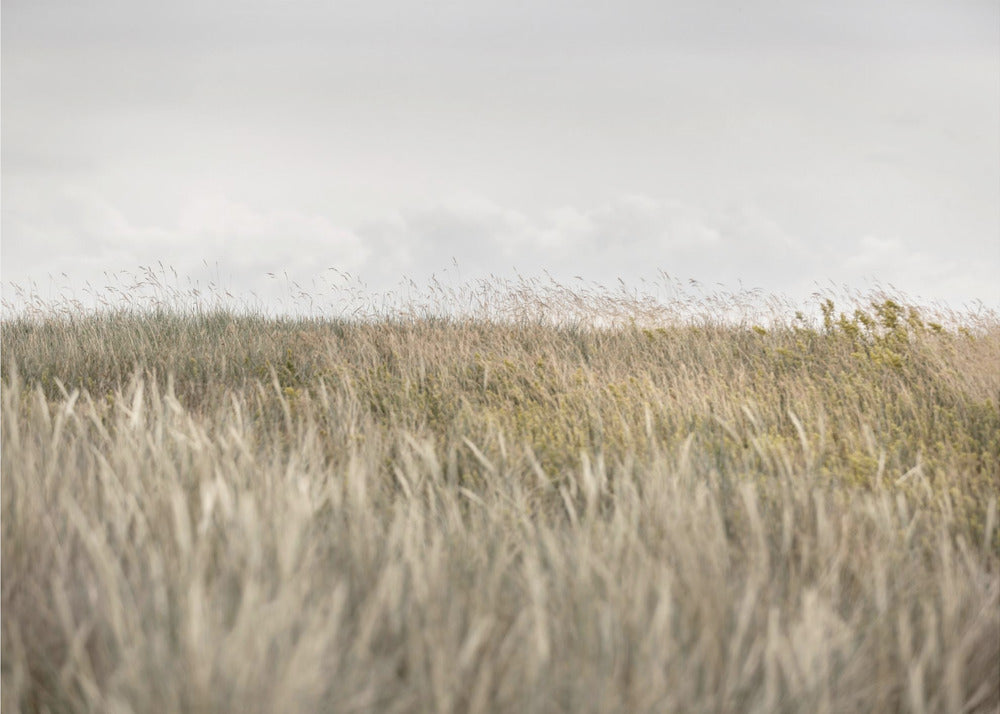 Dunes et Nuages 2 | Papier Peint Photo