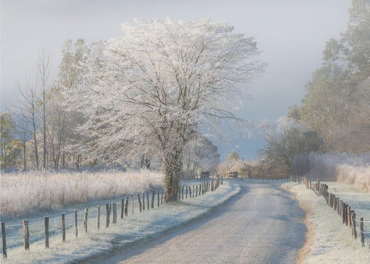 En frostig morgon | Fototapet