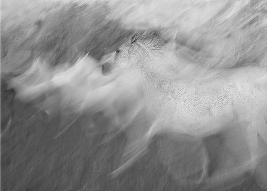 Mystic White | Canvas